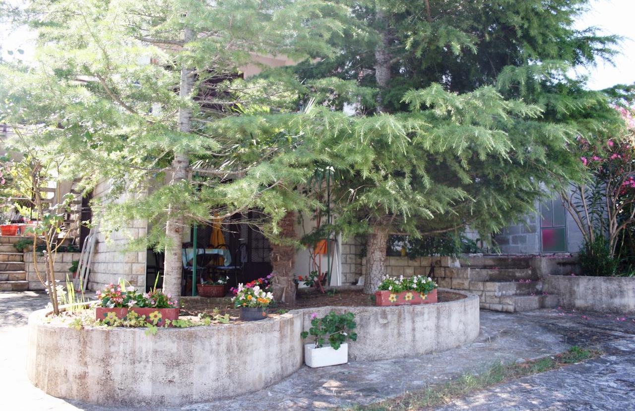 Apartments With A Parking Space Murter - 5103 Betina  Zewnętrze zdjęcie